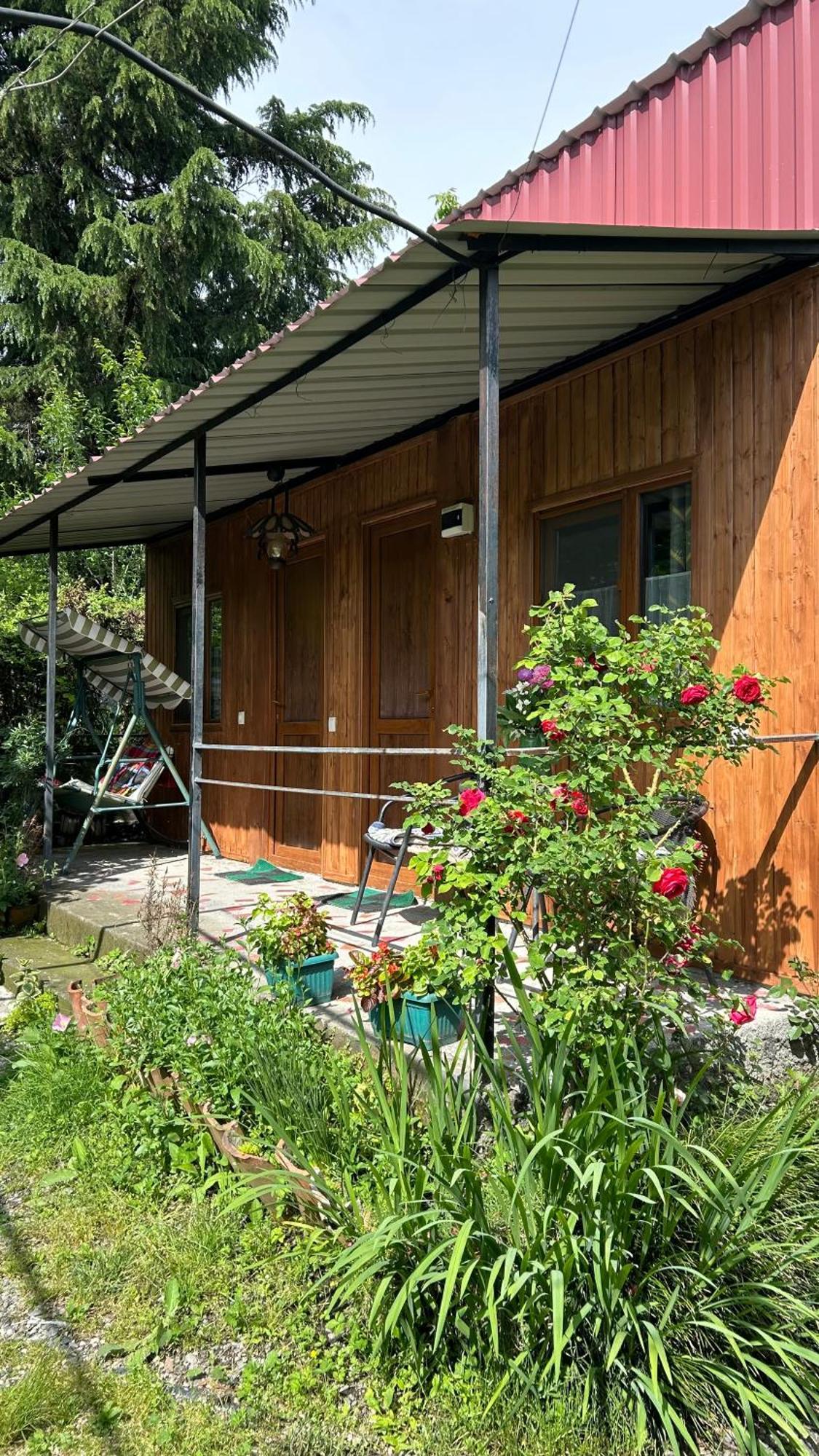 Ludwig Guesthouse Lagodechi Exteriér fotografie