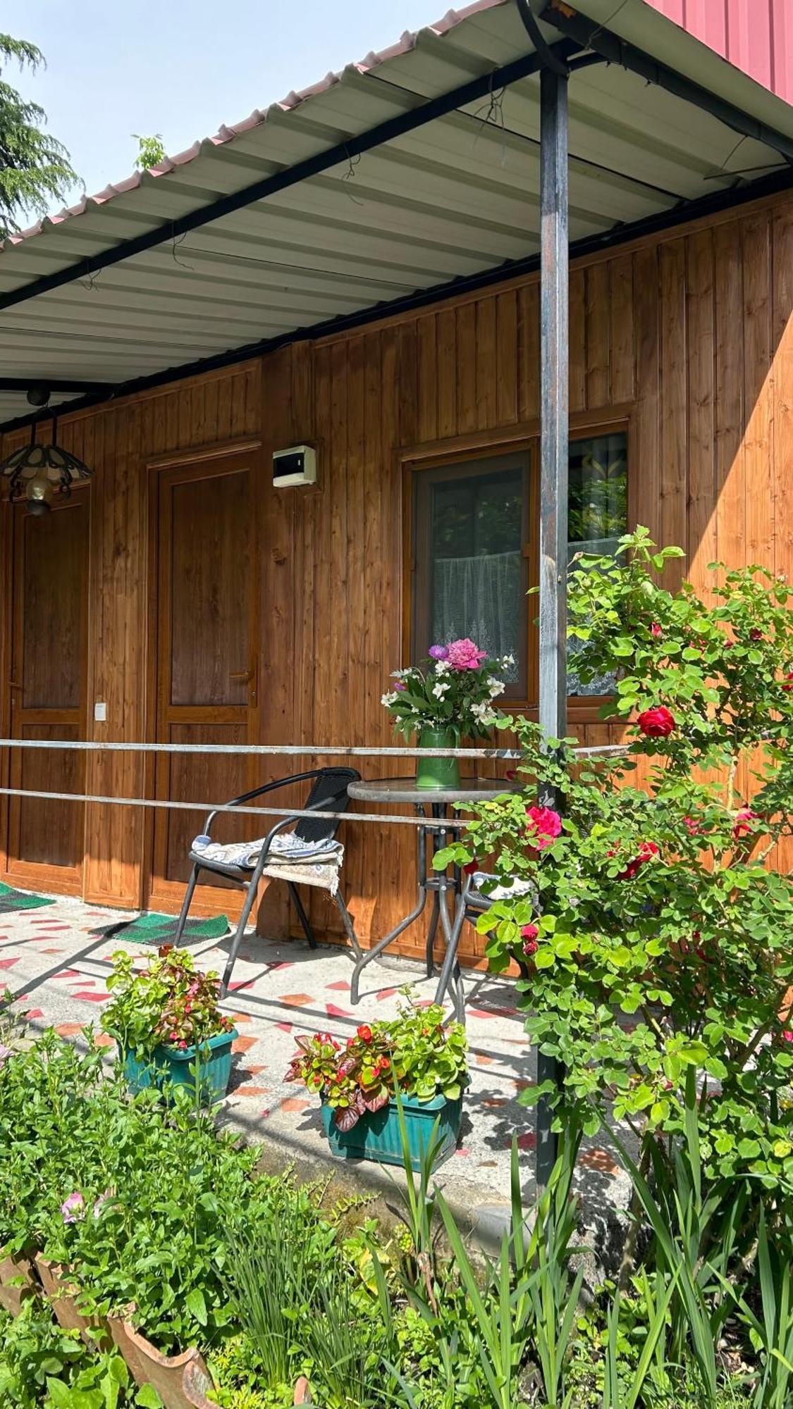 Ludwig Guesthouse Lagodechi Exteriér fotografie