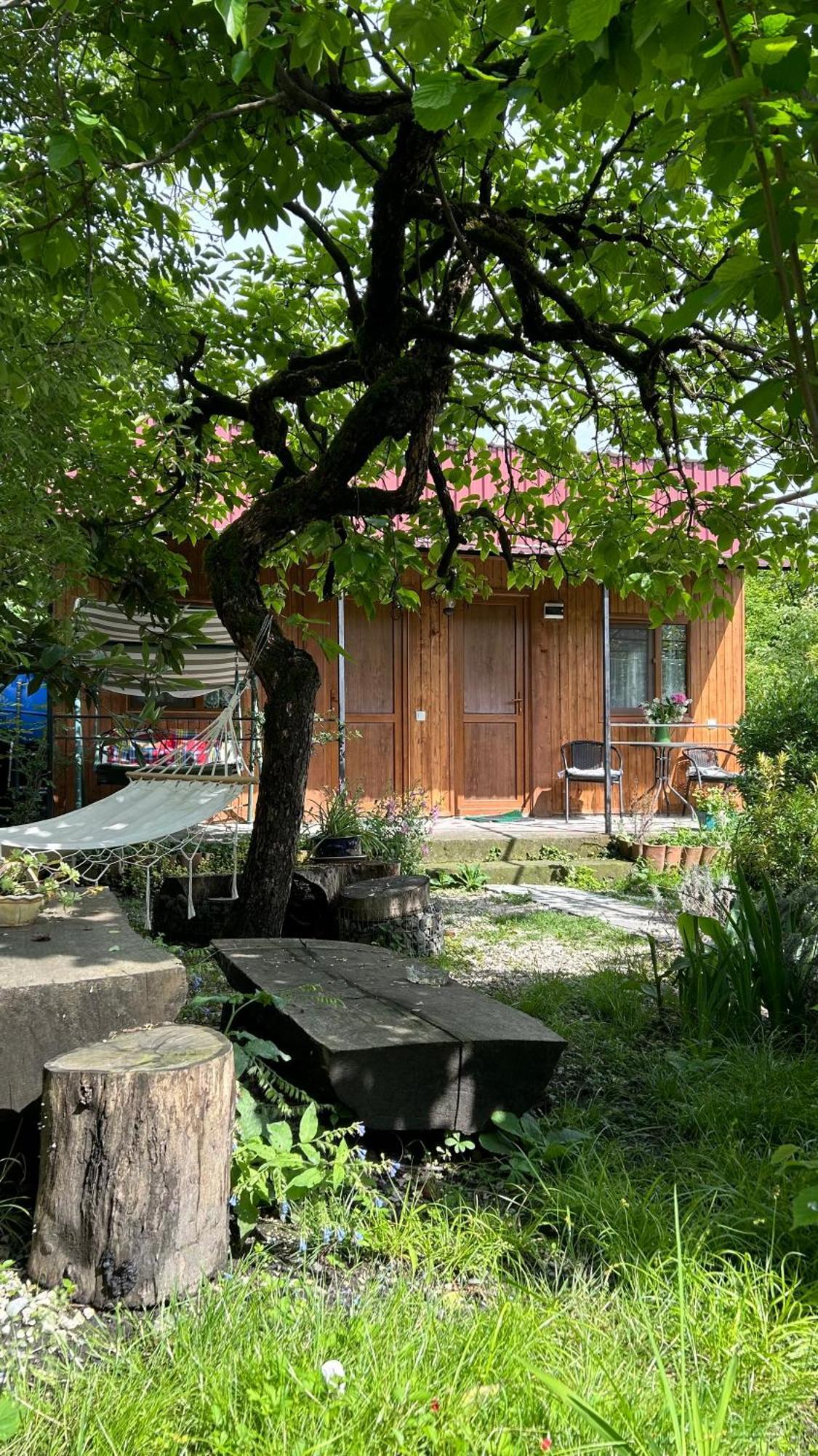 Ludwig Guesthouse Lagodechi Exteriér fotografie