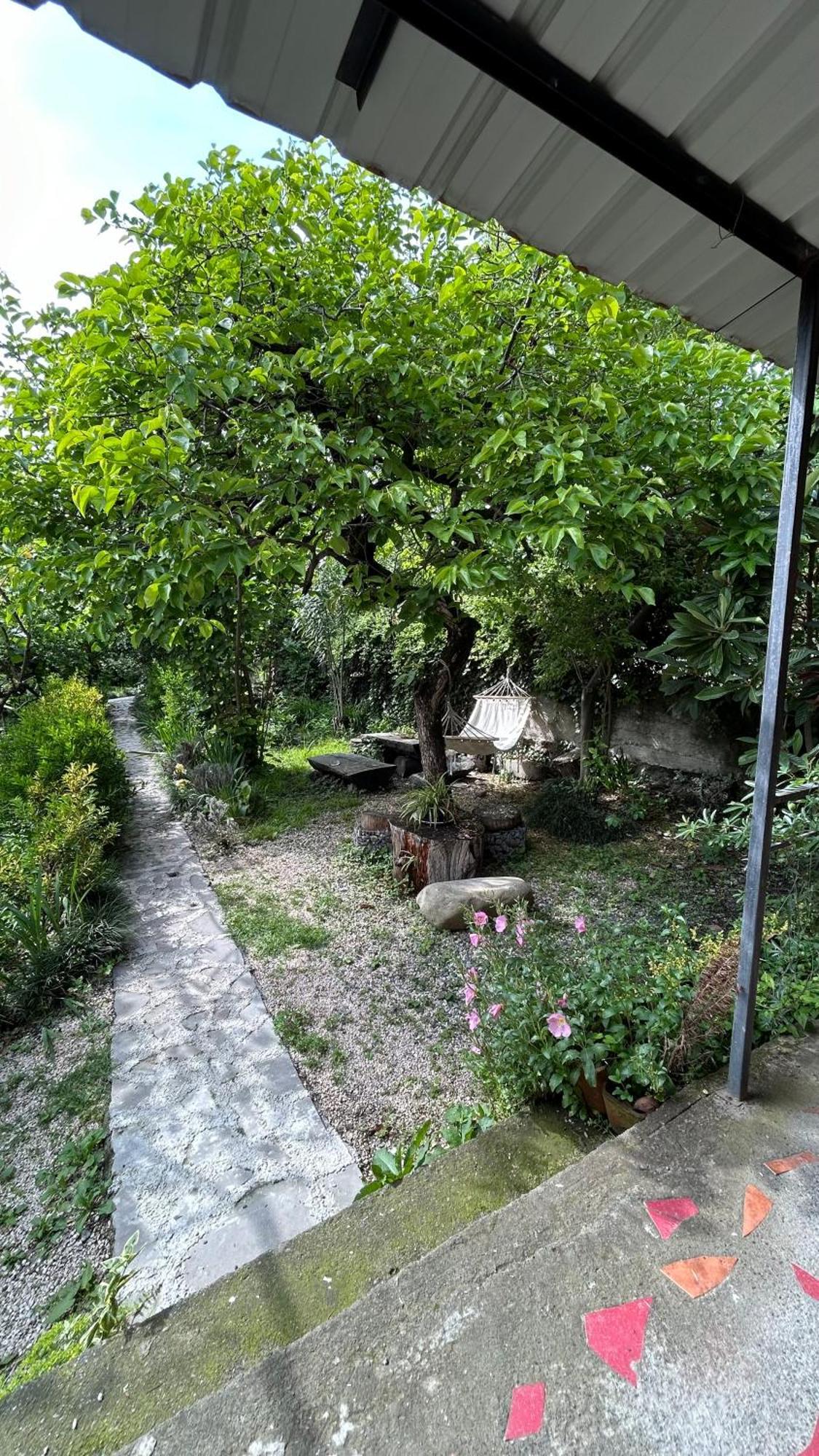 Ludwig Guesthouse Lagodechi Exteriér fotografie