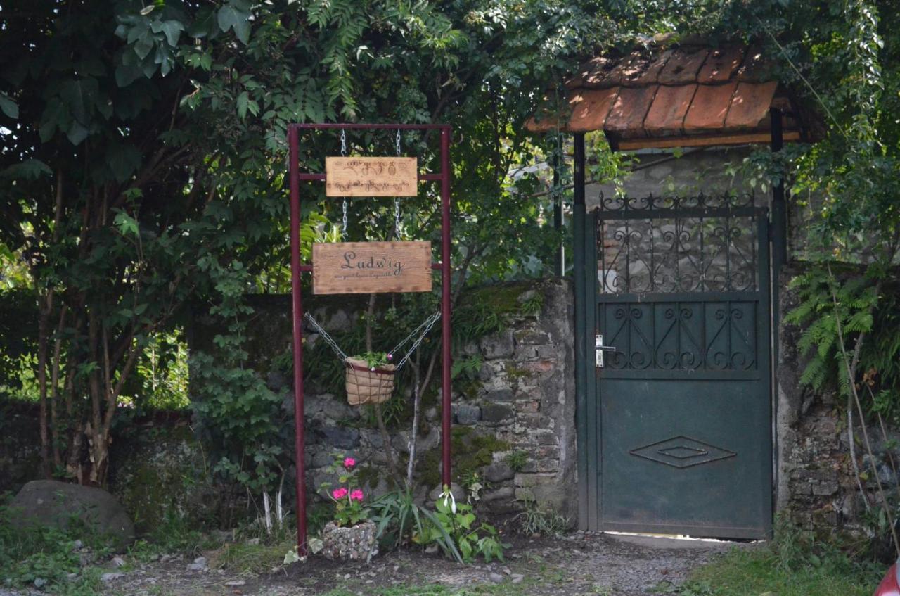 Ludwig Guesthouse Lagodechi Exteriér fotografie